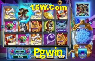 Integração de APIs Pgwin